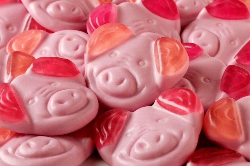 Are Peppa Pig and Percy Pig Related?