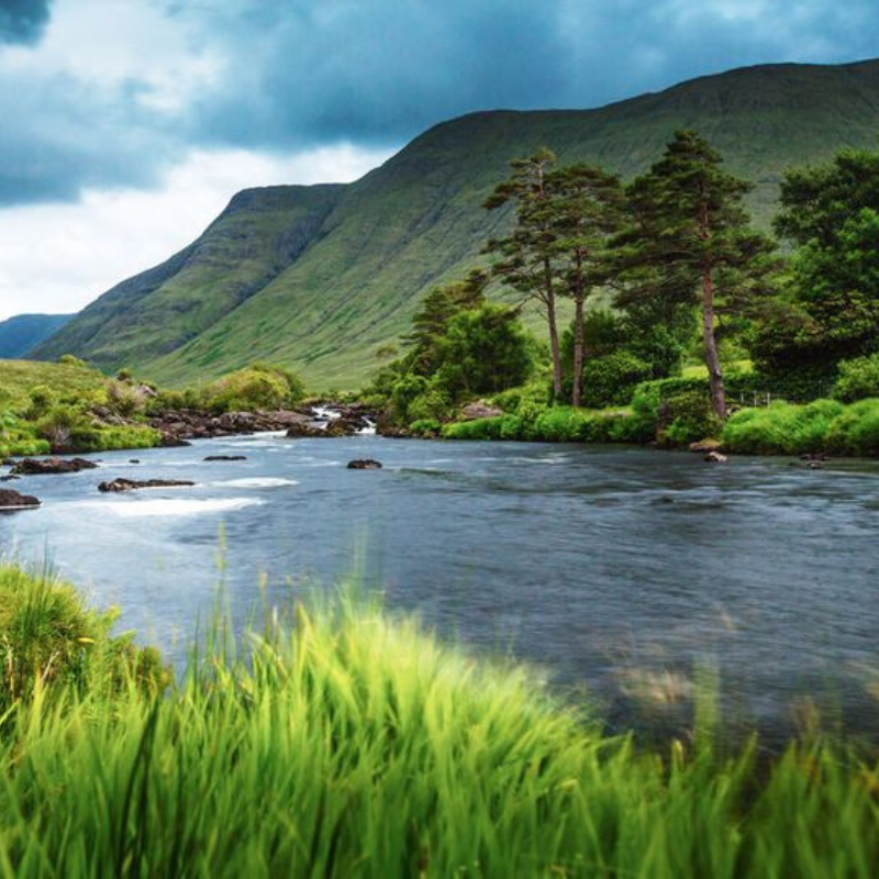 Connemara Fishing School