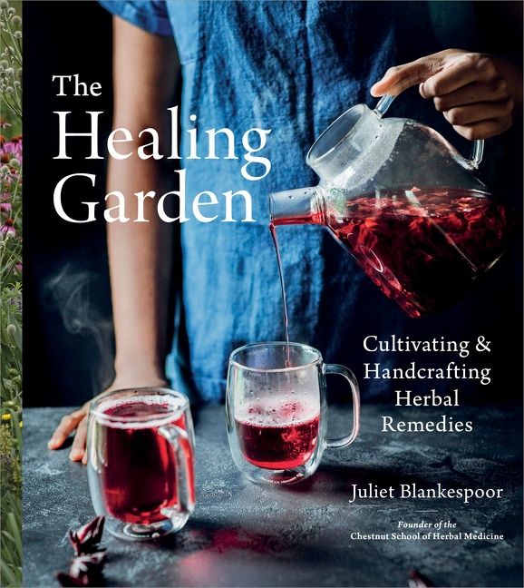 The Healing Garden (9780358313380)