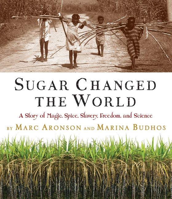 Sugar Changed the World (9780618574926)